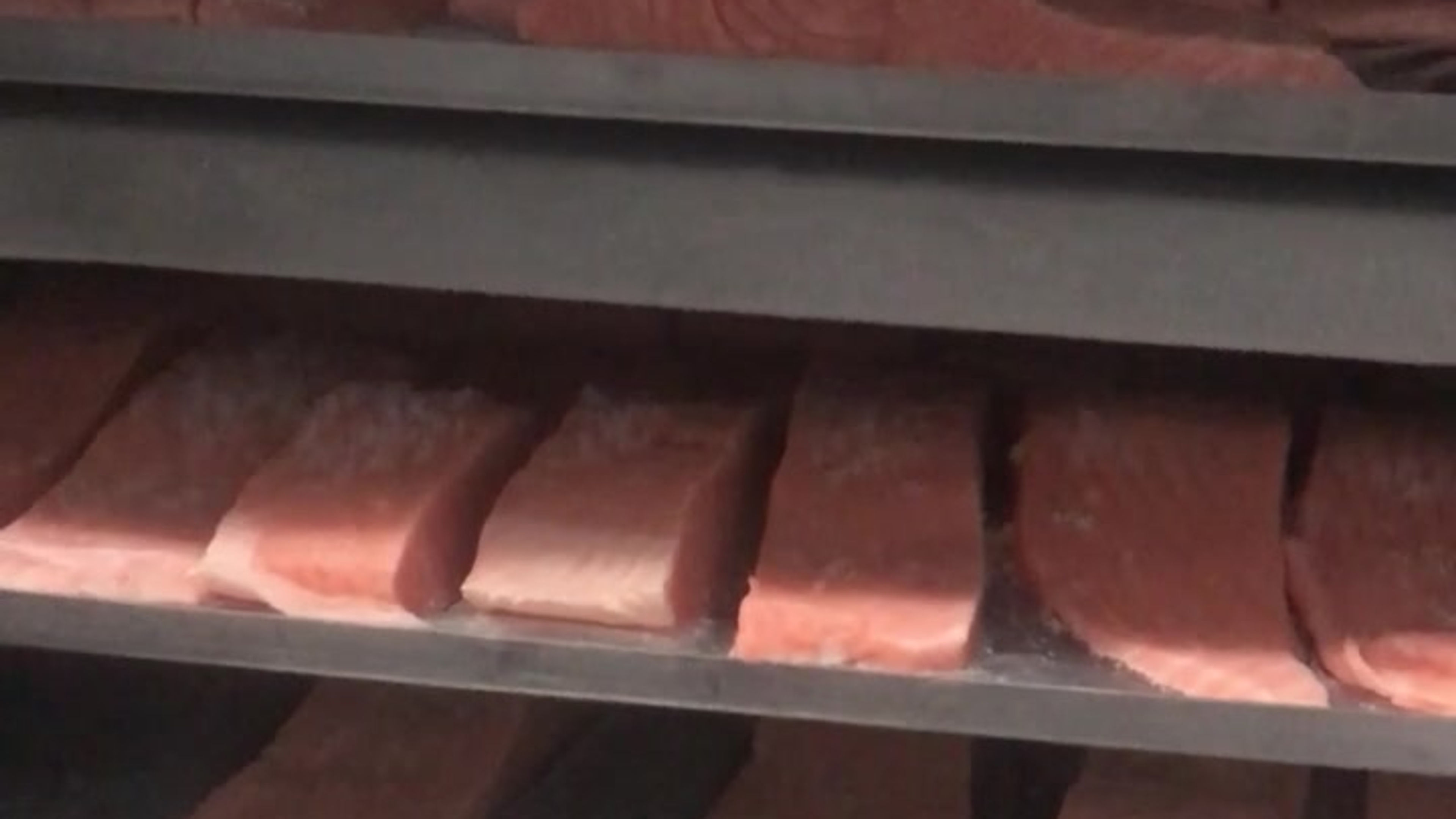 CONGELACION MAGNETICA SALMON